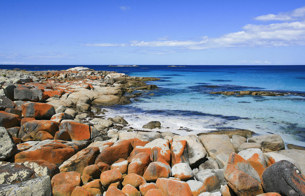 Bay of Fires - Best Beaches in Tasmania- Coffee Meets Beach